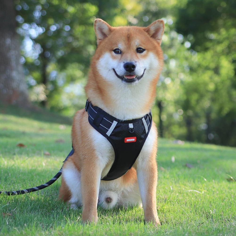 Nylon Dog Harness No Pull Breathable Reflective Pet Harness